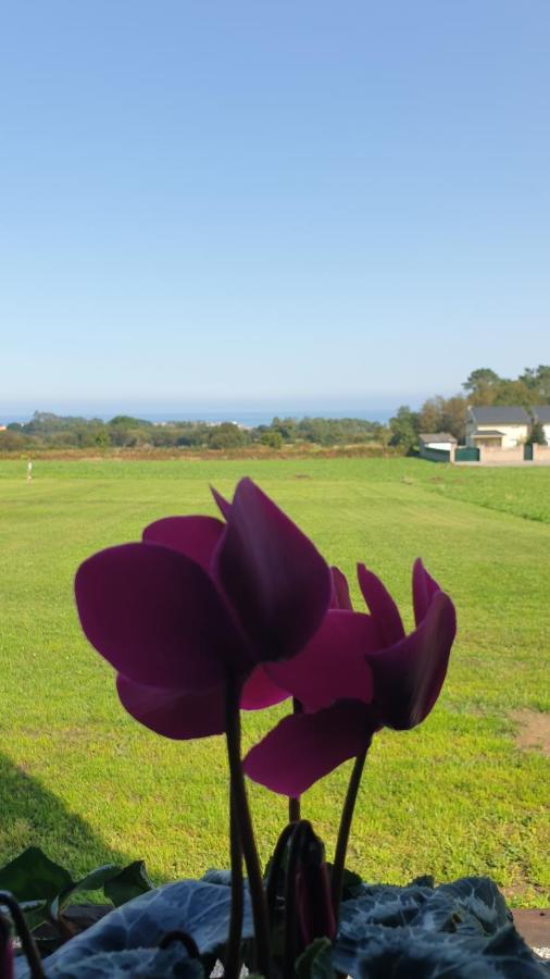 "O Cabazo De Reinante" Villa Barreiros Municipality Kültér fotó