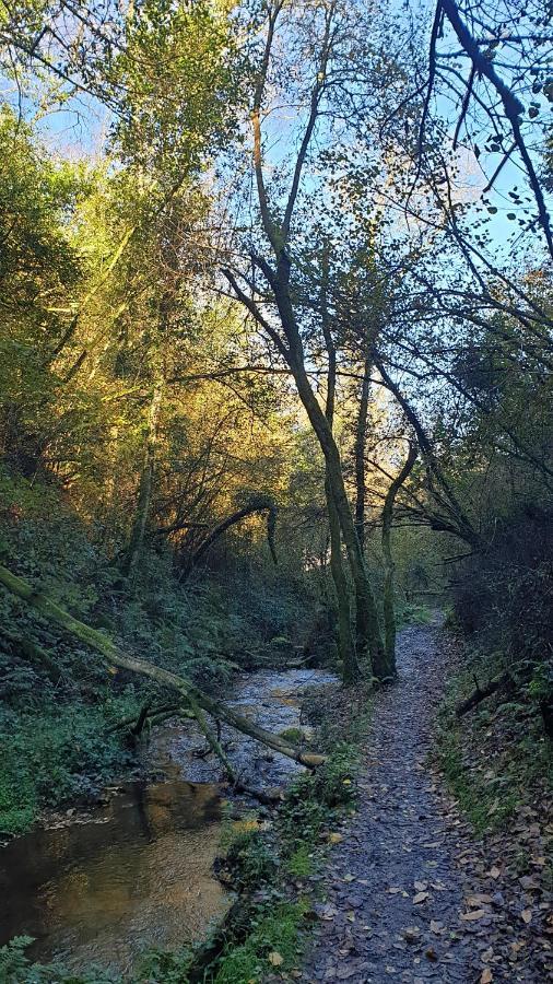 "O Cabazo De Reinante" Villa Barreiros Municipality Kültér fotó